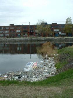 Déchets dans le canal de Lachine à Montréal