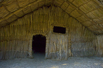 Les maisons traditionnelles de bois, terre, terre-paille, écorces ou feuillages étaient souvent entièrement biodégradables. Les approches modernes d'écoconception et de HQE visent une biodégradabilité contrôlée. Tout produit biodégradable n'est pas nécessairement neutre pour l'Environnementertains produits biodégradables peuvent être à base de pétrole ou avoir un écobilan négatif ou conserver une forte empreinte écologique.