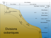 Les différents biotopes océaniques