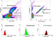 Analyse du picoplancton par cytométrie en flux