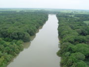 En zone tropicale, les ripisylves sont souvent les dernières zones déboisées (Río Papaloapan, Cosamaloapan)