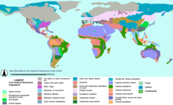 Paléovégétation : Carte de la végétation au dernier maximum glaciaire