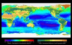 L'imagerie satellitaire permet des cartes présentant un taux de végétalisation et un indice de présencechlorophylienne dans les océans