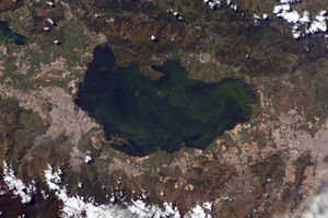 Le lac Valencia (Venezuela) recueille des effluents agricoles, industriels et urbains. Les blooms alguaux sont détectables par satellite.