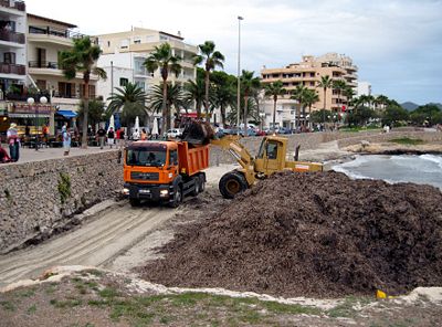 Plage de Cala Millor, Son Servera, Mallorca (Espagne)