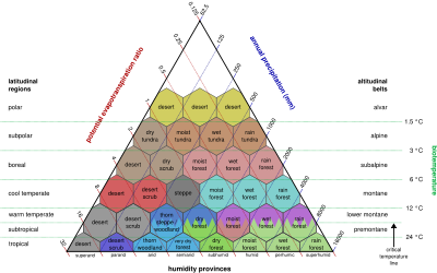 Influence combinée des facteurs géographiques climatiques sur les écosystèmes (en réalité les écosystèmes influent aussi rétroactivement sur le climat et produisent du relief, sur le très long terme)