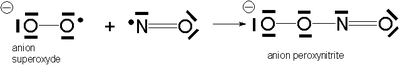 Équation chimique de synthese de peroxynitrite