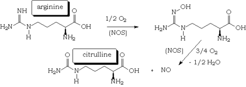 Schéma de synthese du monoxyde de carbone