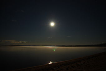 La lumière de la lune influe sur certains processus vivants